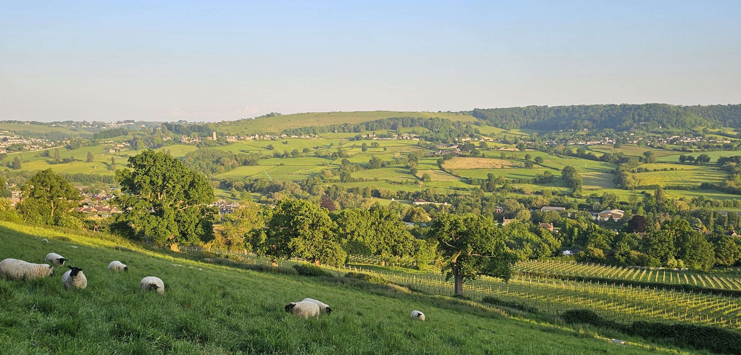 Welcoming new patients, in the heart of Stroud - Initial Consultation Special offer £80